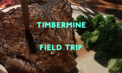 Timbermine Field Trip