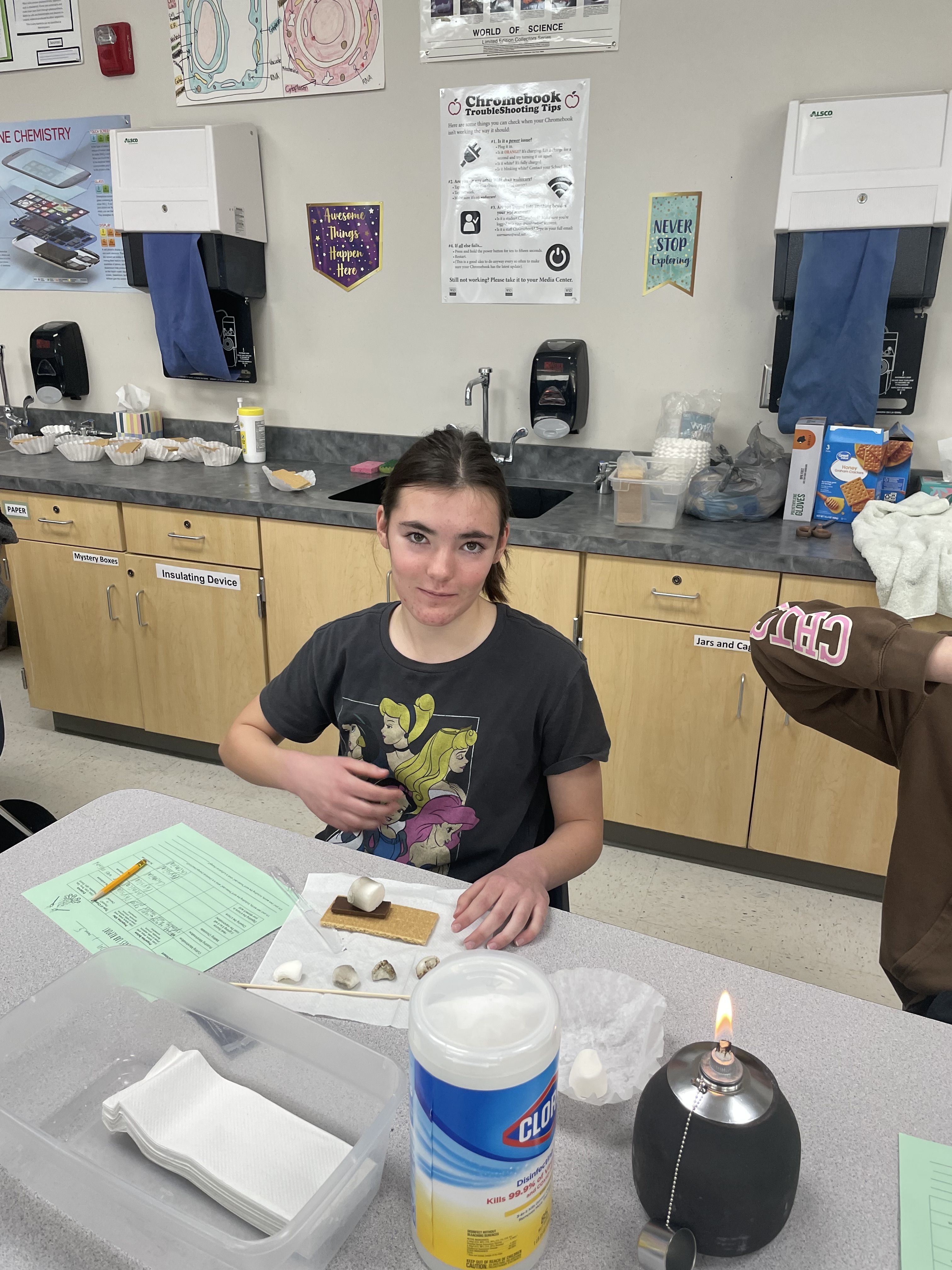 Smores Lab in 8th grade science