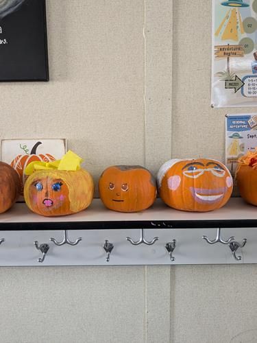 pumpkins, educators rising